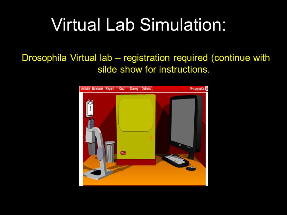 Virtual Lab Simulation: