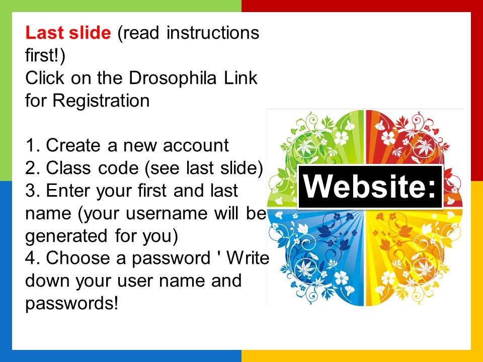 Website: Last slide (read instructions first!)