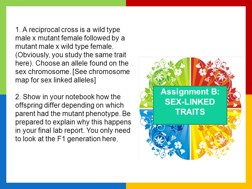 Assignment B: SEX-LINKED TRAITS