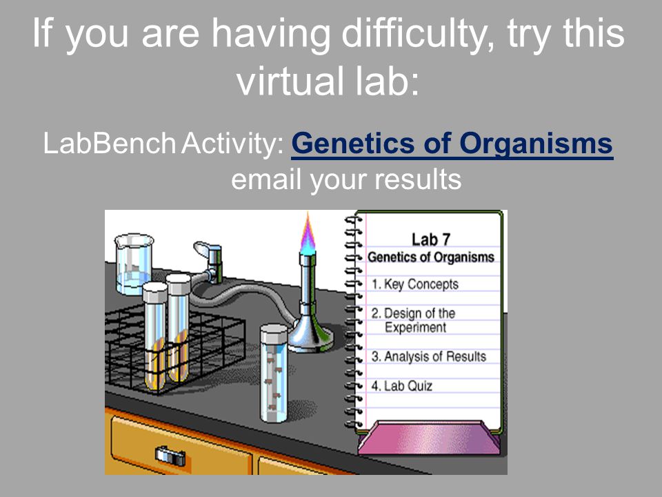 If you are having difficulty, try this virtual lab: