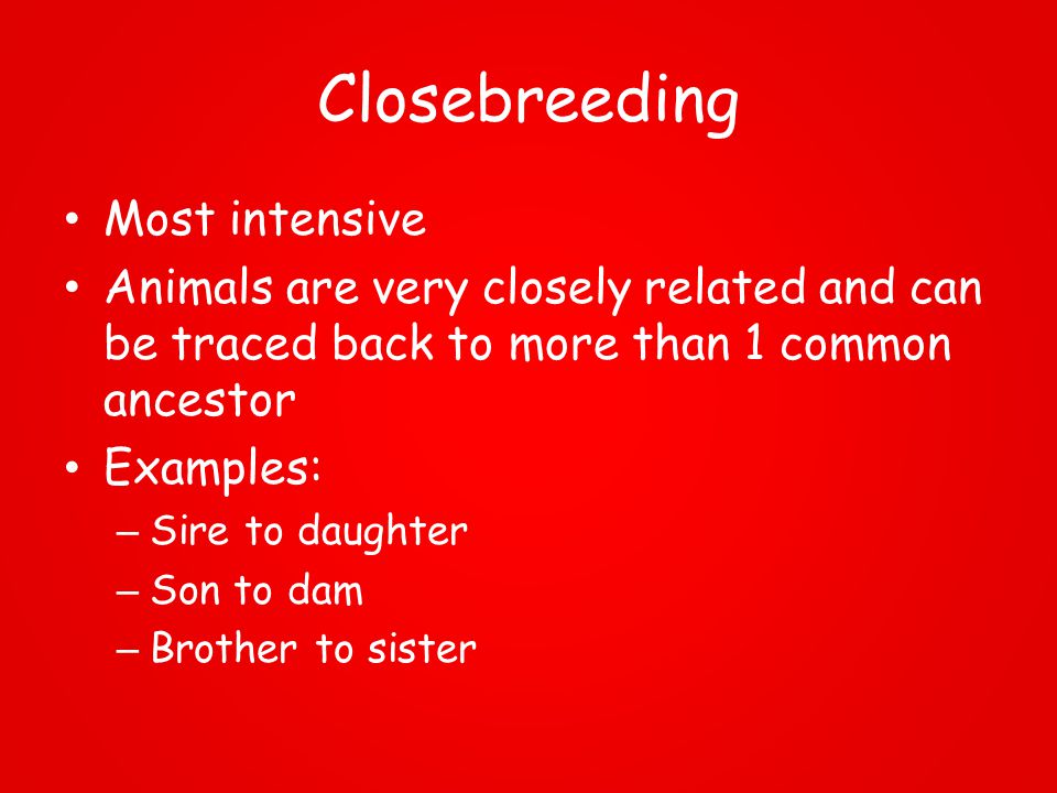 Animal Breeding Systems - ppt download