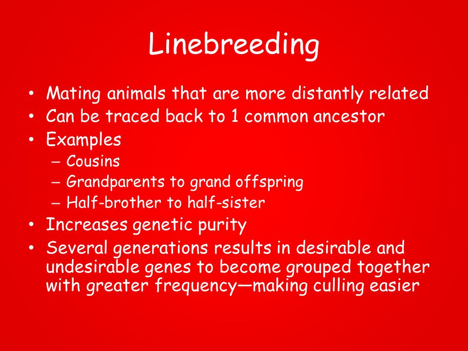 Animal Breeding Systems - ppt download