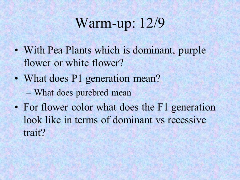 Warm-up: 12/9 With Pea Plants which is dominant, purple flower or white flower What does P1 generation mean
