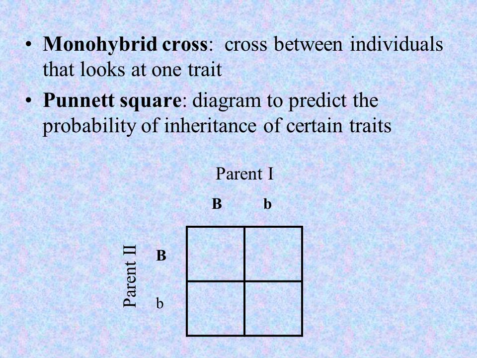 Monohybrid cross: cross between individuals that looks at one trait