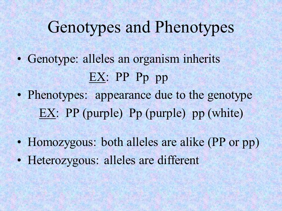 Genotypes and Phenotypes