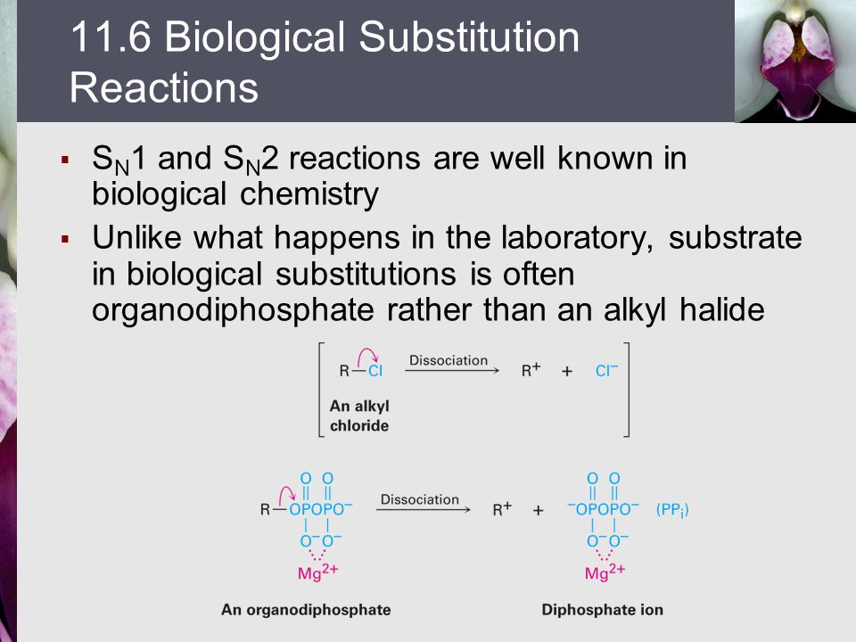 sn1 and sn2 reactions of alkyl halides lab