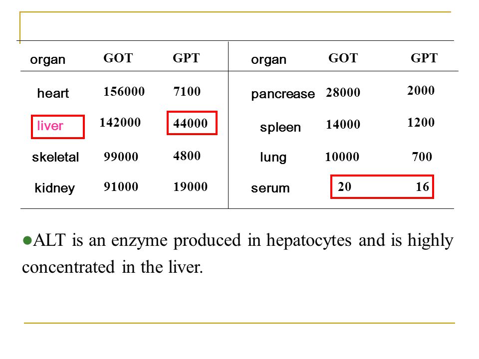 Gpt 4 это. GPT. What GPT can do.