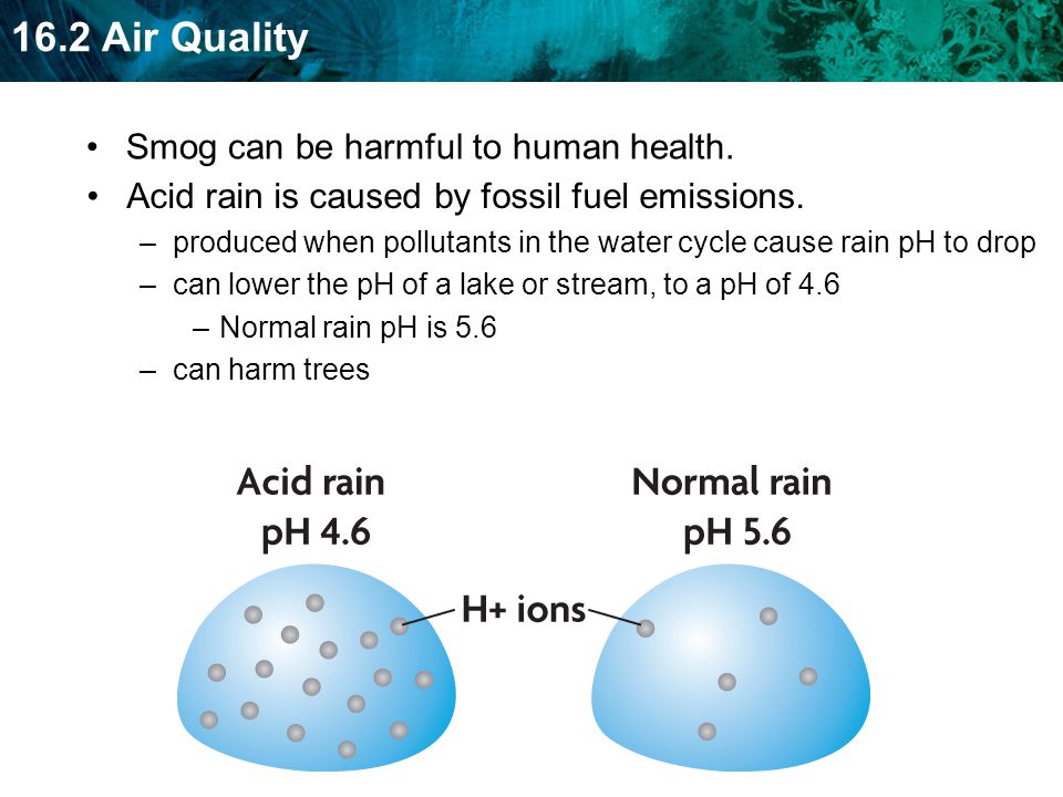 Smog can be harmful to human health.