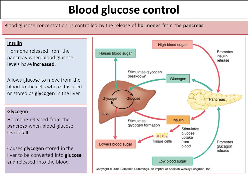 Blood glucose control Blood glucose concentration is controlled by the rele...