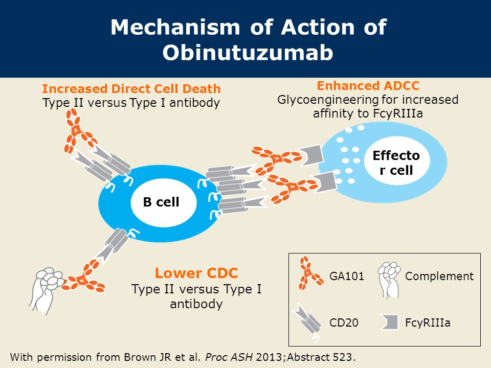 Mechanism of Action of Obinutuzumab