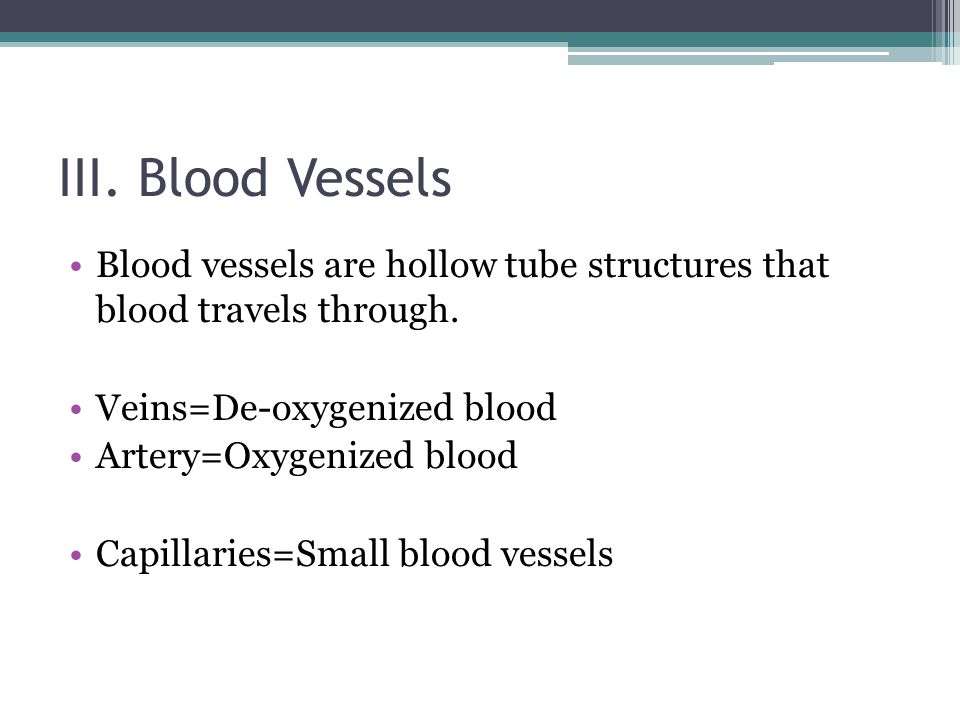 III. Blood Vessels Blood vessels are hollow tube structures that blood travels through. Veins=De-oxygenized blood.
