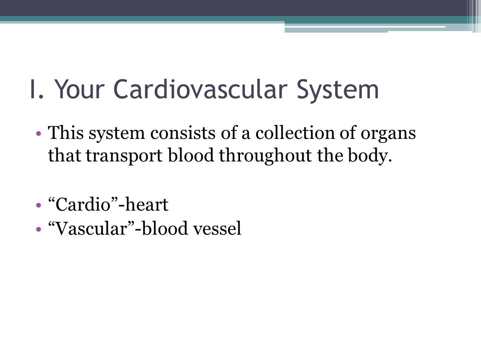 I. Your Cardiovascular System