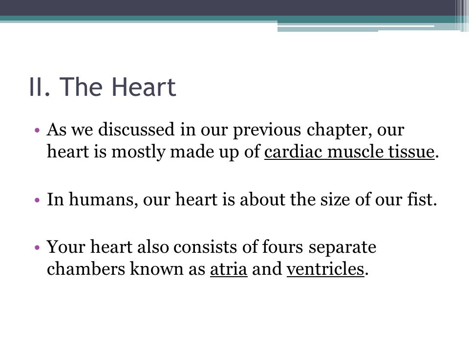 II. The Heart As we discussed in our previous chapter, our heart is mostly made up of cardiac muscle tissue.