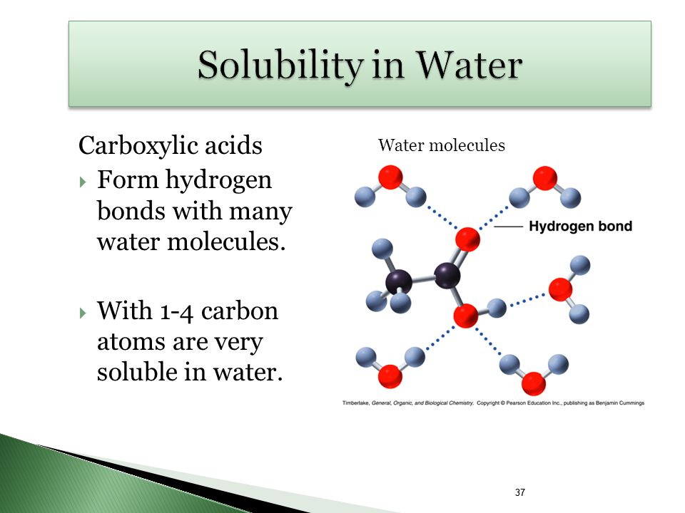 Form hydrogen bonds with many water molecules. 