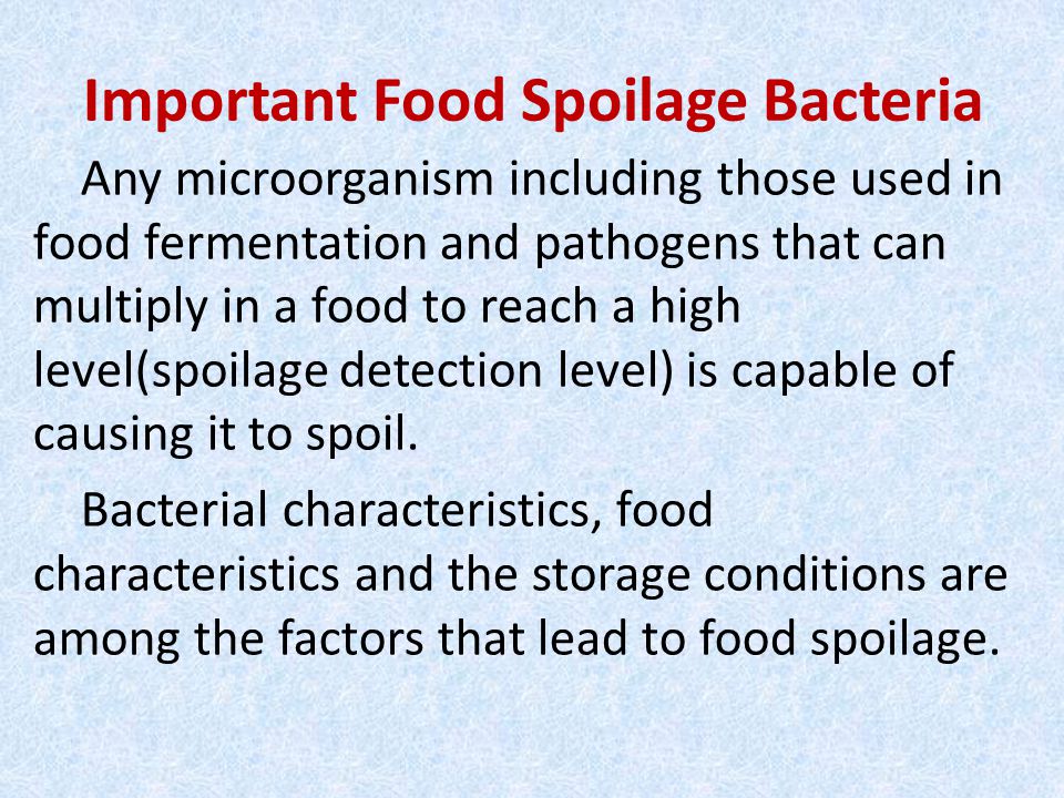 Important Food Spoilage Bacteria