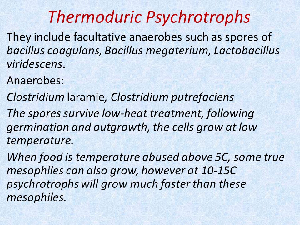 Thermoduric Psychrotrophs
