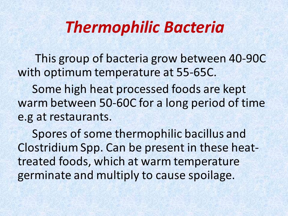 Thermophilic Bacteria