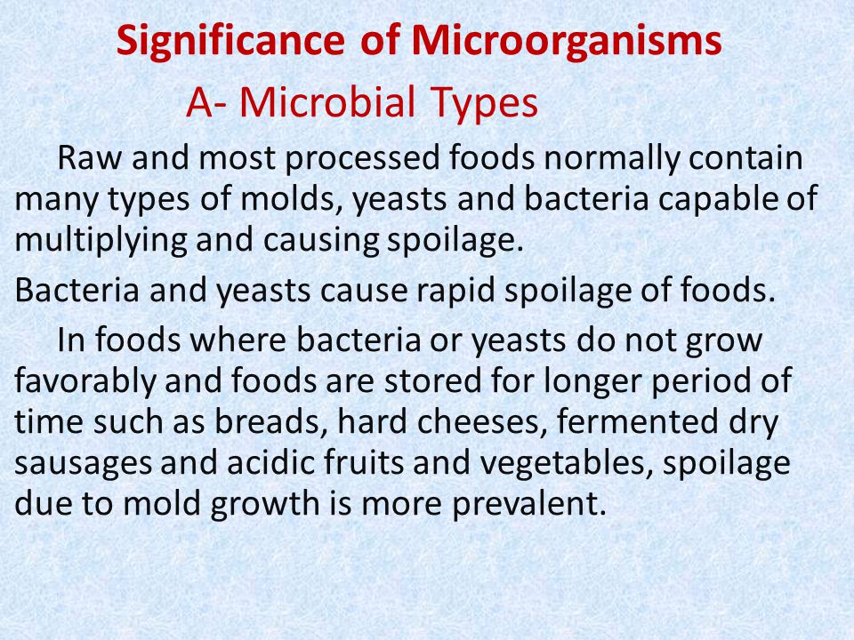 Significance of Microorganisms