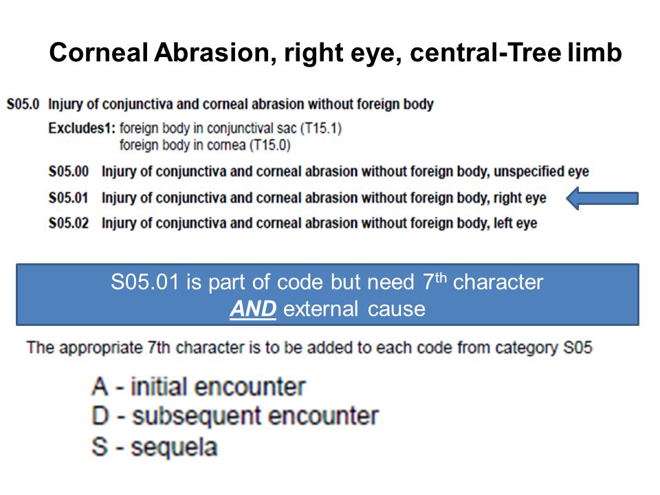 Corneal Abrasion, right eye, central-Tree limb