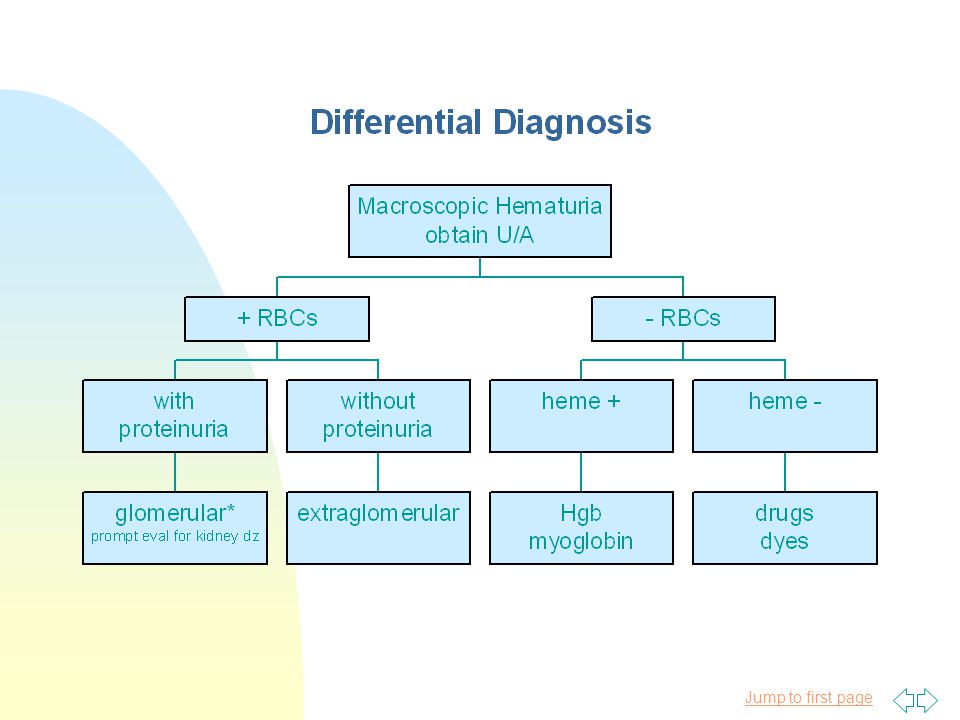 Hematuria For The Boards Gital Karamchandani Patel Md 4 11 Ppt Video Online Download