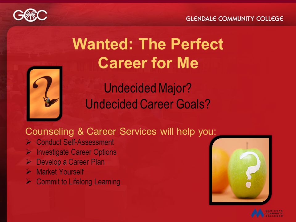 Wanted: The Perfect Career for Me
