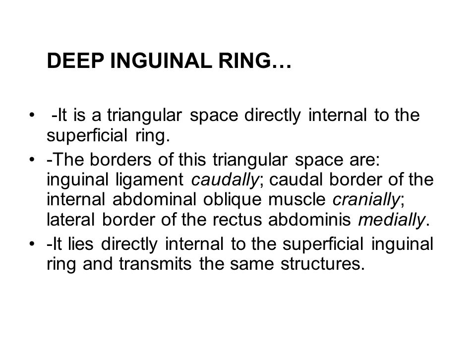 Inguinal triangle - Wikipedia