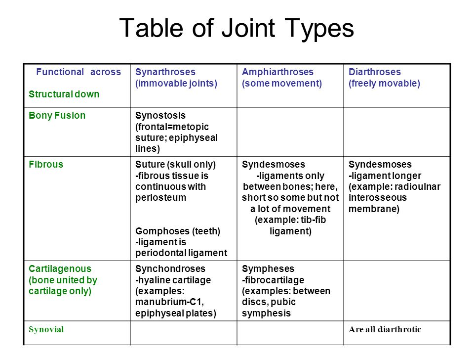 Types of functions. Classification of Joints. Classification of Joints Movements. Classification of Gems Table.