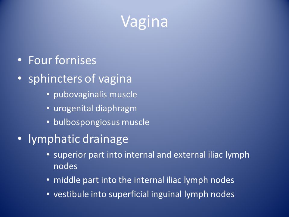 Vagina Four fornises sphincters of vagina lymphatic drainage