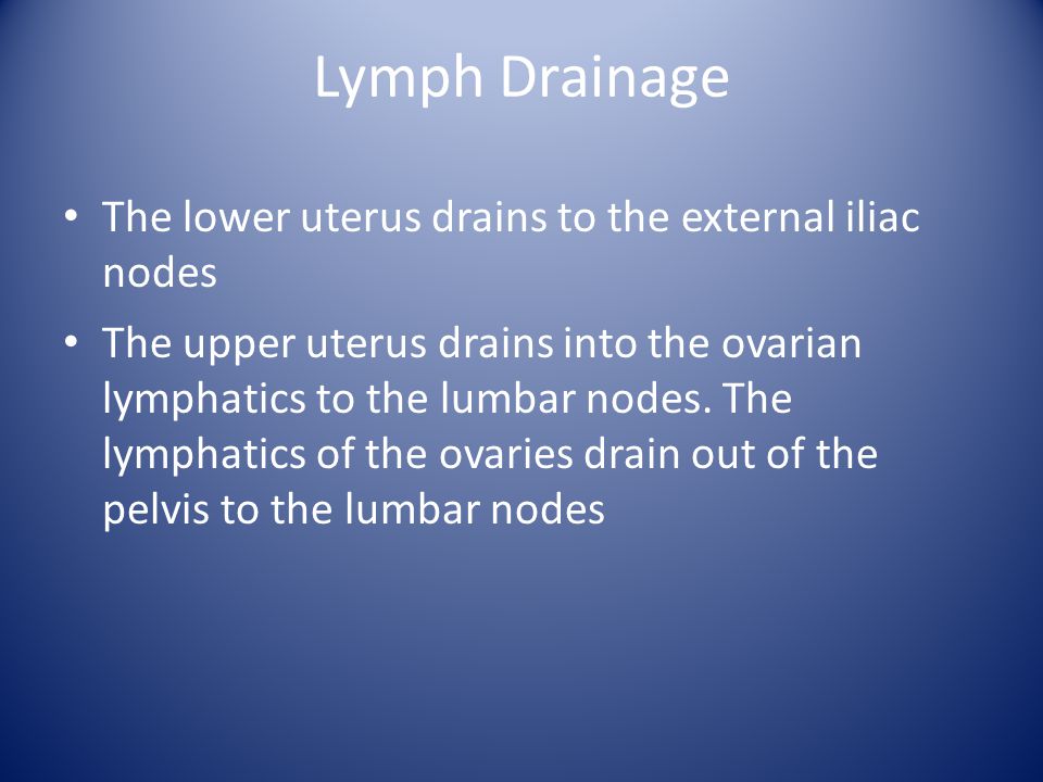 Lymph Drainage The lower uterus drains to the external iliac nodes