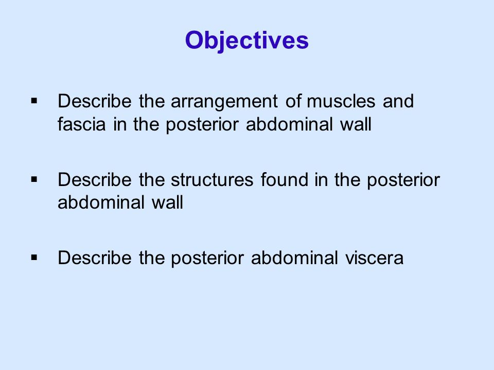 Objectives Describe the arrangement of muscles and fascia in the posterior abdominal wall.