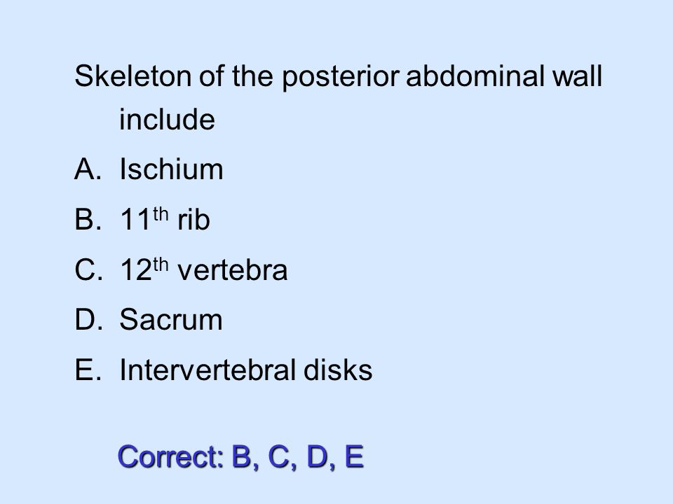 Skeleton of the posterior abdominal wall include