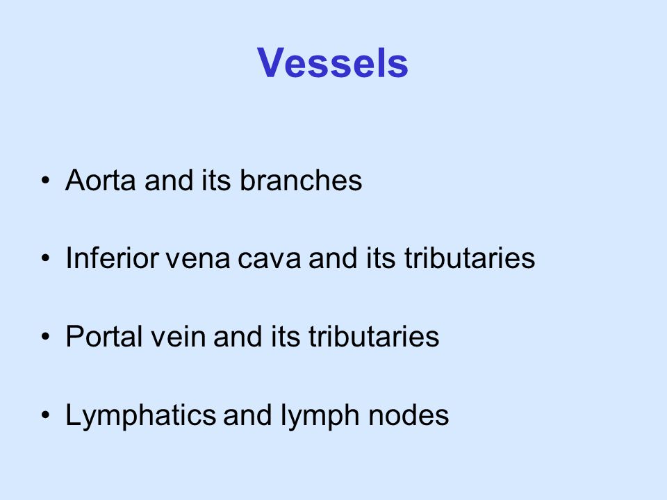 Vessels Aorta and its branches Inferior vena cava and its tributaries