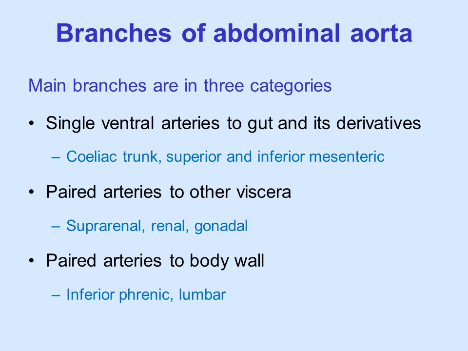 Branches of abdominal aorta