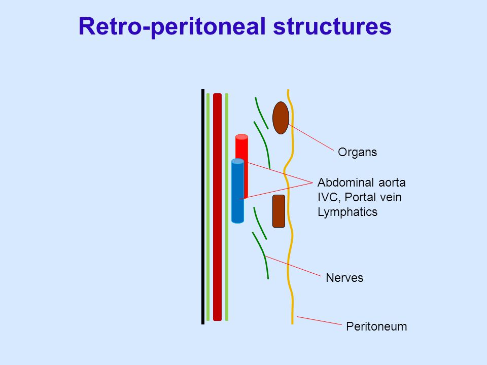 Retro-peritoneal structures
