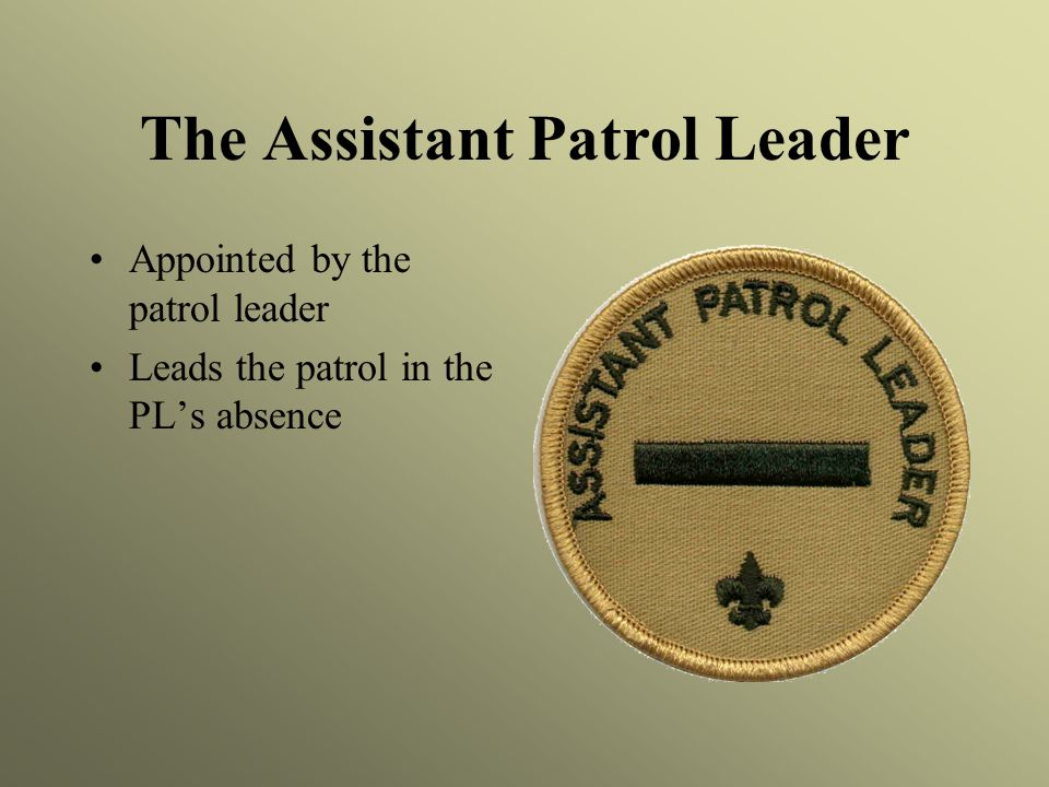 The Assistant Patrol Leader