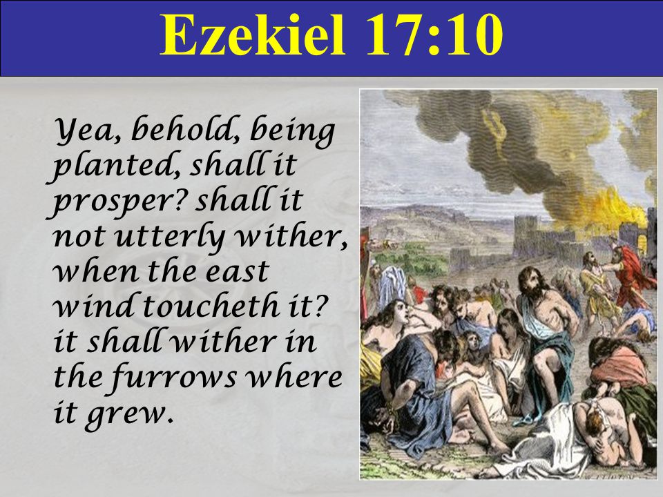 Ezekiel 17:10