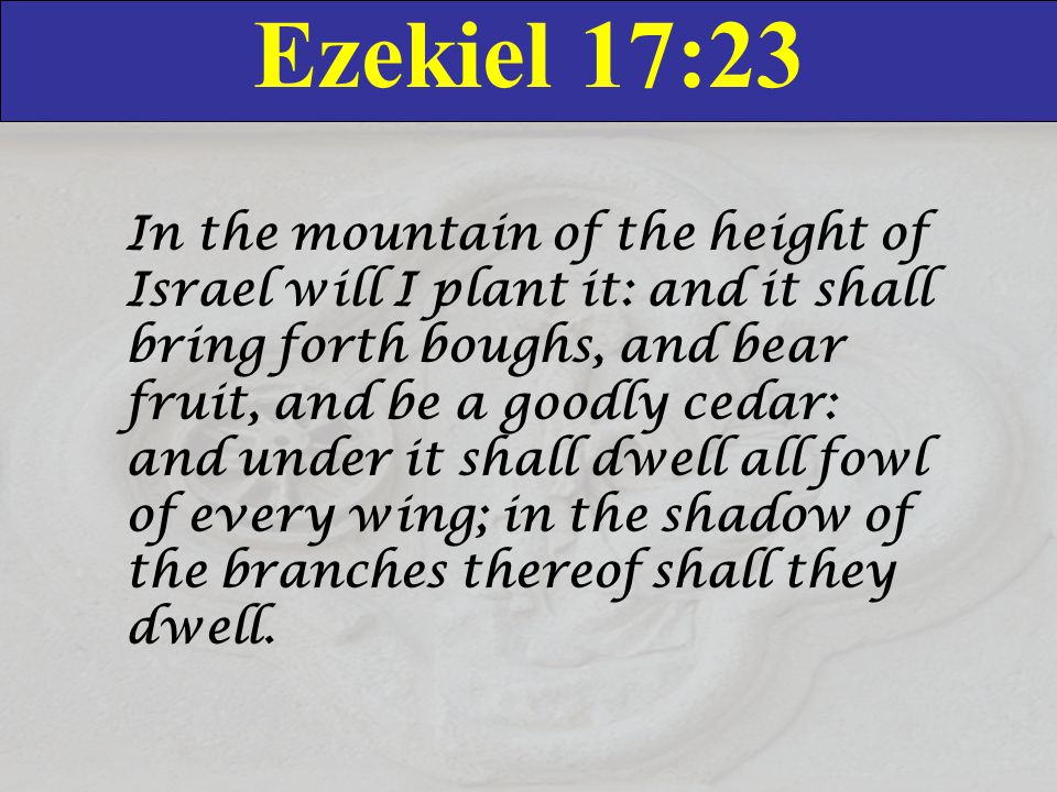 Ezekiel 17:23