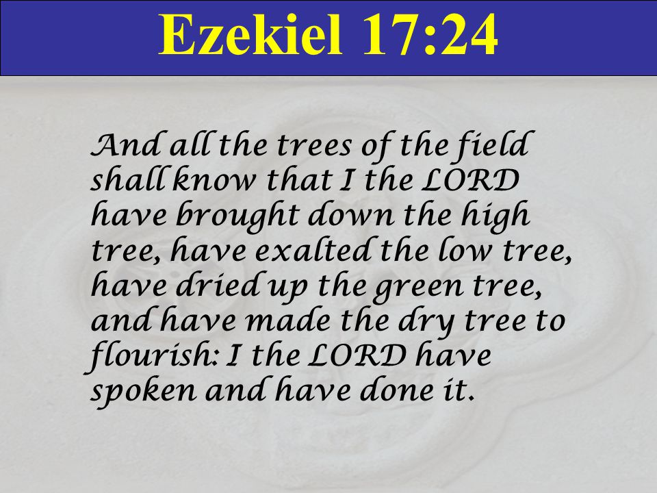 Ezekiel 17:24