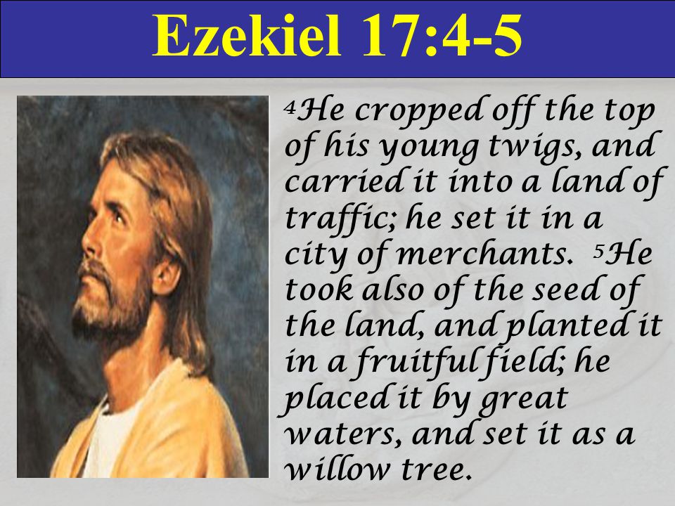 Ezekiel 17:4-5