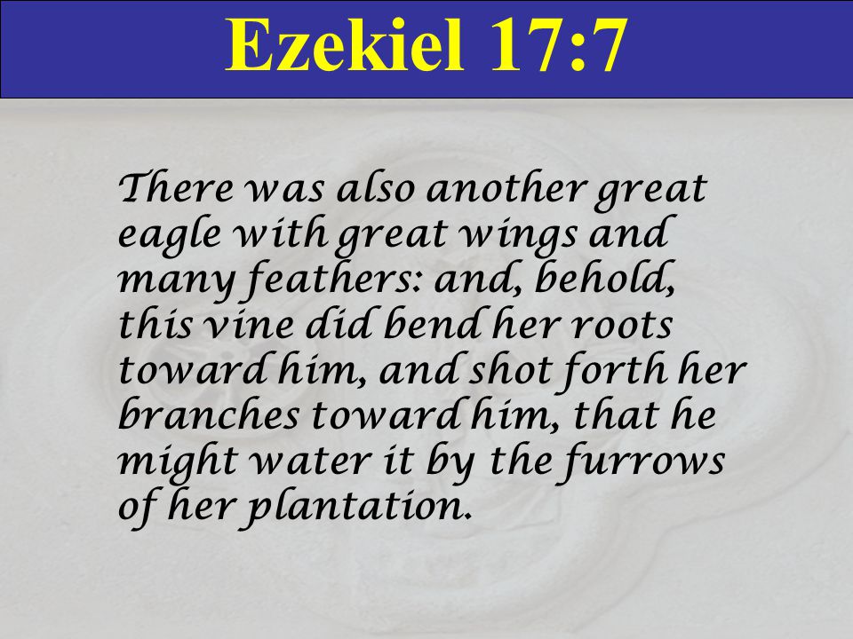 Ezekiel 17:7