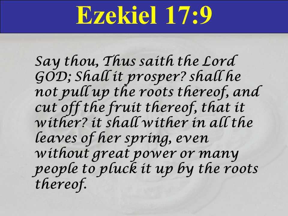 Ezekiel 17:9