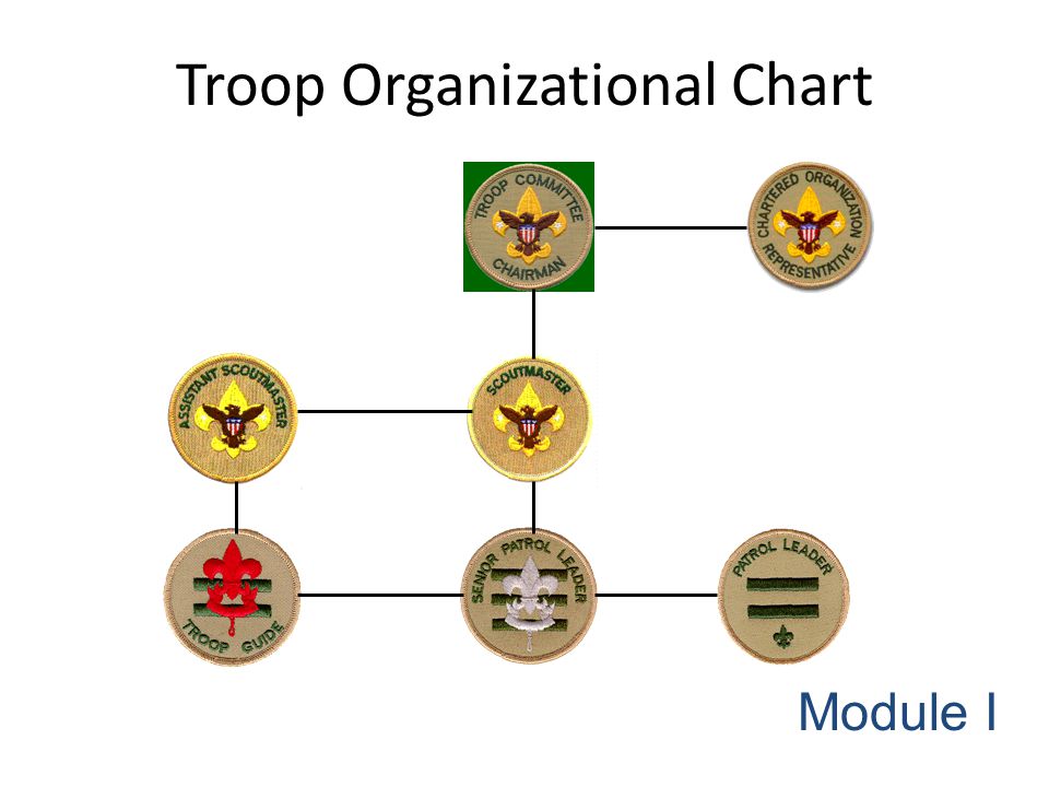 Boy Scout Hierarchy Chart