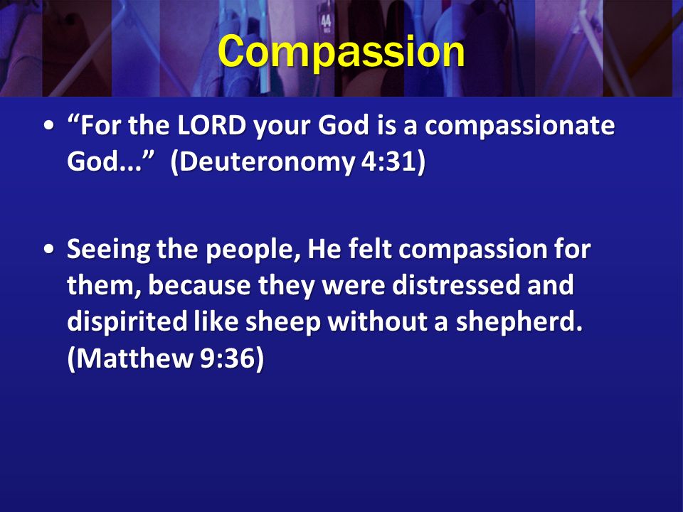Compassion For the LORD your God is a compassionate God... (Deuteronomy 4:31)