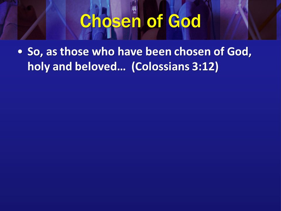 Chosen of God So, as those who have been chosen of God, holy and beloved… (Colossians 3:12)