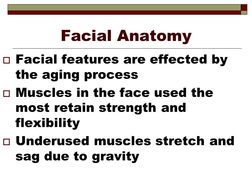 Facial Anatomy Facial features are effected by the aging process