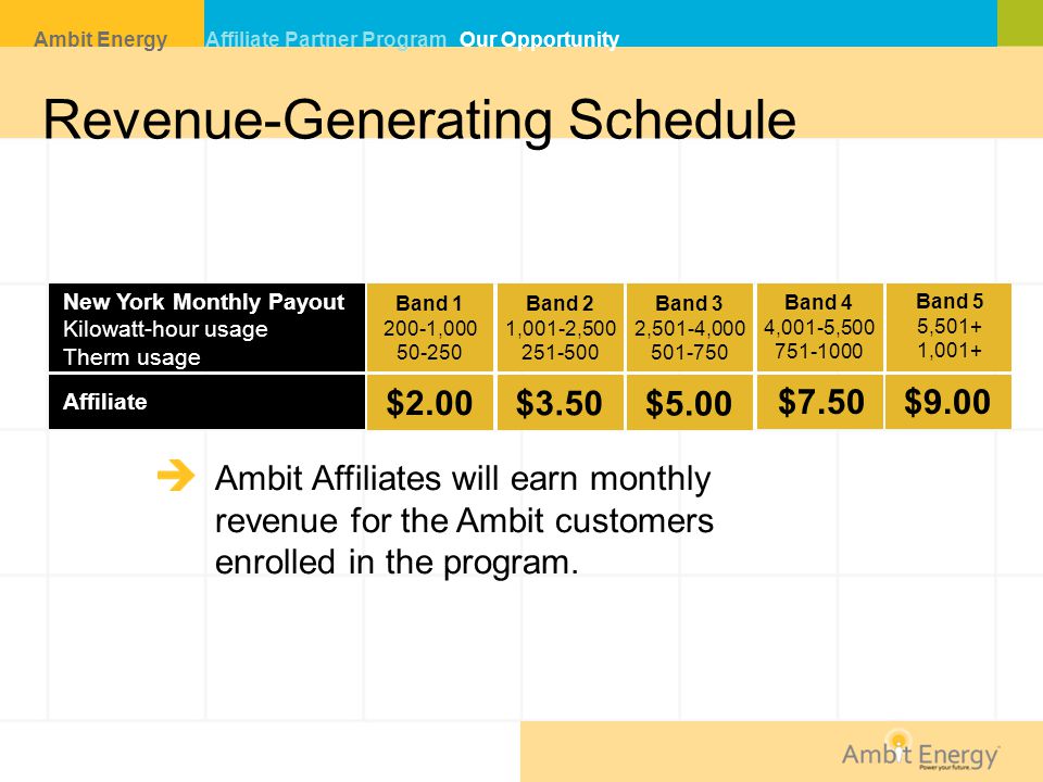 Revenue-Generating Schedule