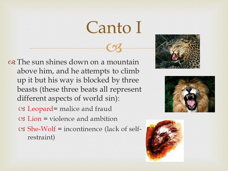 What do the leopard, lion, and shewolf represent in Dante's Inferno? - Quora