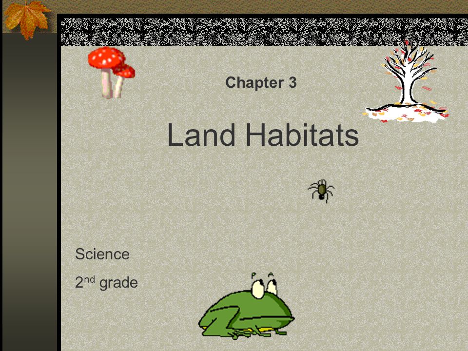 Chapter 3 Land Habitats Science 2nd grade