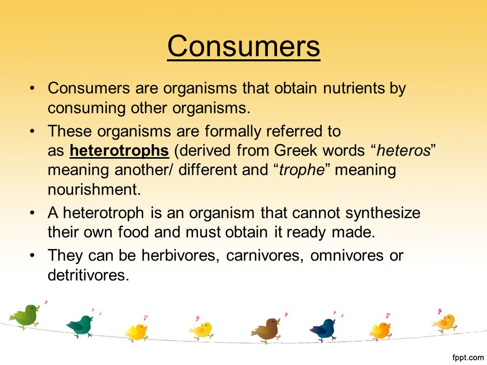Consumers Consumers are organisms that obtain nutrients by consuming other organisms.