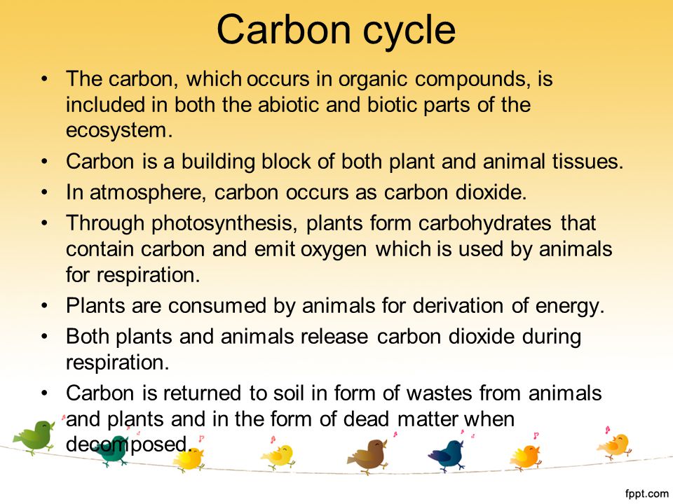 Carbon cycle The carbon, which occurs in organic compounds, is included in both the abiotic and biotic parts of the ecosystem.